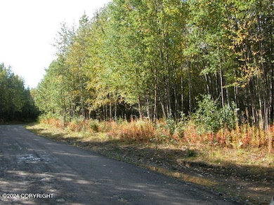 Island Lake Lot (2)