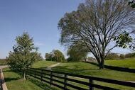 Ladd Park features 240 acres of common area