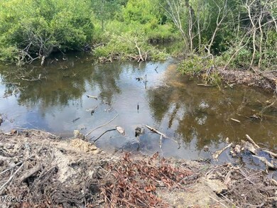 11.35ac Buddy Finch Rd, Lucedale, MS 39452 - photo 2