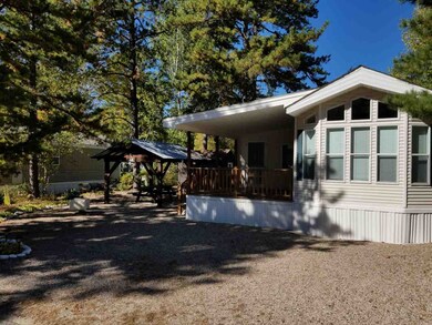 22 Pony Express Cir unit Site 44, Freedom, NH 03836 - photo 3