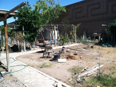 Backyard2