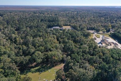 28155 Louisiana 22, Ponchatoula, LA 70454 - photo 7