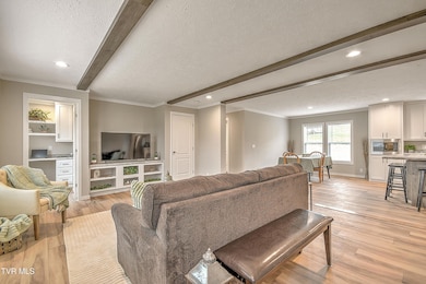 4100 Weaver Pike, Bluff City, TN 37618 - photo 7