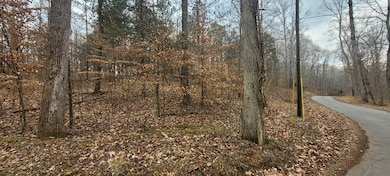 636 Tobaccoport Rd, Bumpus Mills, TN 37028 - photo 2