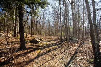 1815 Us-1, York, ME 03902 - photo 7