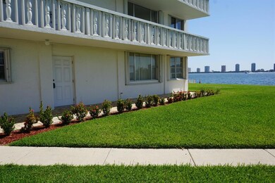 View from Patio