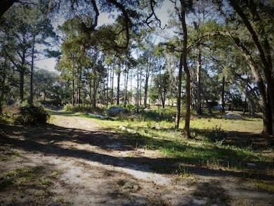 15 Oneal Dr NE, Townsend, GA 31331 - photo 2