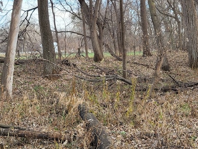 312 Bazille St, Center, NE 68724 - photo 4