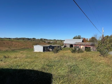 665 Painter Rd, Fall Branch, TN 37656 - photo 2