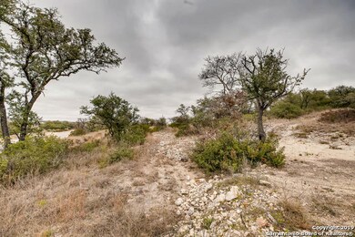 23420 Edens Canyon, San Antonio, TX 78255 - photo 4
