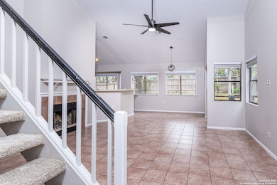 4206 Birch Tree St, San Antonio, TX 78247 - photo 7