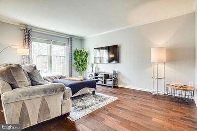 6821 Wild Rose Ct, Springfield, VA 22152 - photo 6