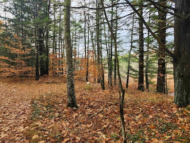 19 White Mountain Hwy, Wakefield, NH 03872 - photo 3