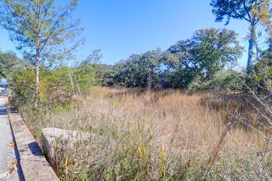 867-82 Colony -Tidalcreekphoto- (4)