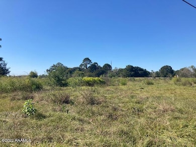0 Hwy 190 unit 22009226, Eunice, LA 70535 - photo 4
