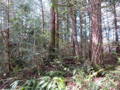 0 Wayne Rd W unit 1740283, Seabeck, WA 98380 - photo 5