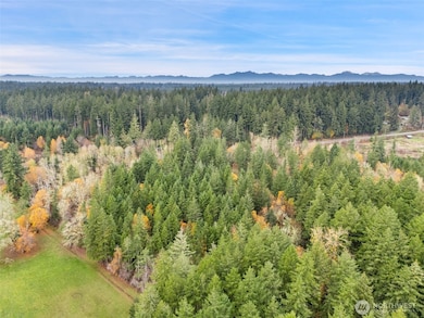 6191 E Pickering Rd, Shelton, WA 98584 - photo 5