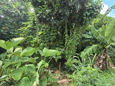 1 Bo Lomas, Canovanas, PR 00729 - photo 7