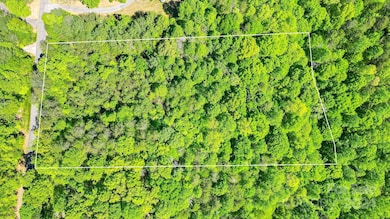 0 W T Wilkins Rd unit 11 CAR4136364, Rutherfordton, NC 28139 - photo 5