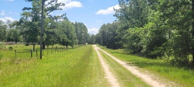 0 NE Dixon Ct unit A11843868, Lee, FL 32059 - photo 5