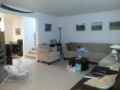 3641 Puffin Circle 010