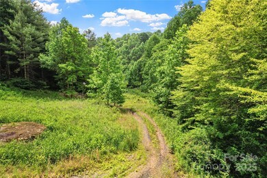 X Bee Branch Rd, Bakersville, NC 28705 - photo 6