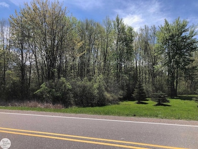 0 Meisner Rd unit 50142718, East China, MI 48054 - photo 4