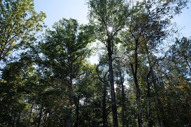 8530 Lake Bright Dr, Columbus, GA 31904 - photo 5