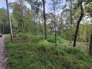 150 Punch's End, Burnside, KY 42519 - photo 7