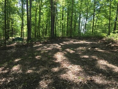 0 Highway 232 unit 2142465, Stewart, TN 37175 - photo 2