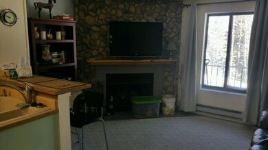 Timberbrook Village Condos unit TBV 143 b106, Brian Head, UT 84719 - photo 5