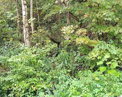 0 Onzie Stewart Rd, Arjay, KY 40902 - photo 4