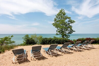 Forest Beach