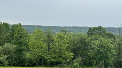 IMG_0929