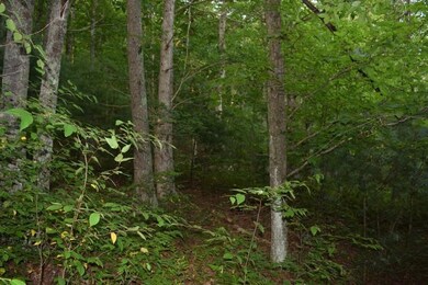 DSC_0363 (800x533)