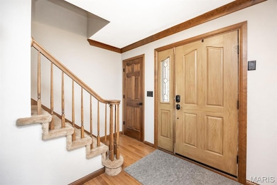 1031 Shadow Ridge Crossing, O Fallon, IL 62269 - photo 4