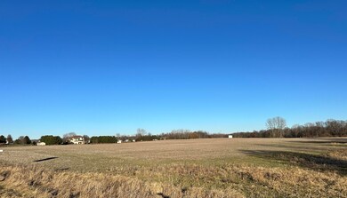 IMG_8847