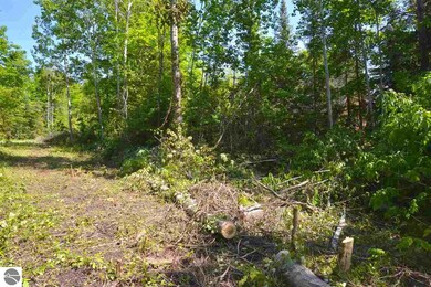 0 Rivershore Dr, Elk Rapids, MI 49629 - photo 3