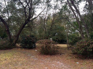 Large Back Yard