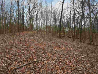 10810 Raleigh Lagrange Rd E, Eads, TN 38028 - photo 5