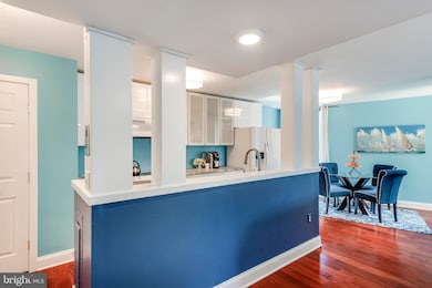 316 Burnside St unit 308, Annapolis, MD 21403 - photo 7