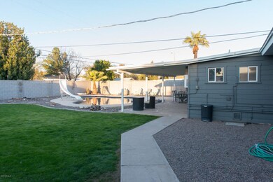 Backyard 2