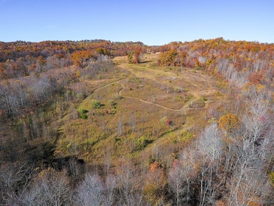 0 Ky 377, Vanceburg, KY 41179 - photo 6