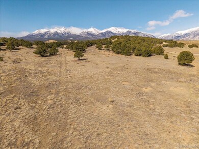 10246 Rawhide Creek Rd, Nathrop, CO 81236 - photo 7