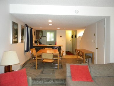 12 Tecumseh Townhouse Unit 12, Waterville Valley, NH 03215 - photo 5