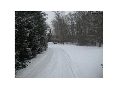 Driveway looking towards road