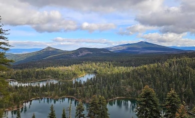 Terrypine Rd, Beatty, OR 97621 - photo 5