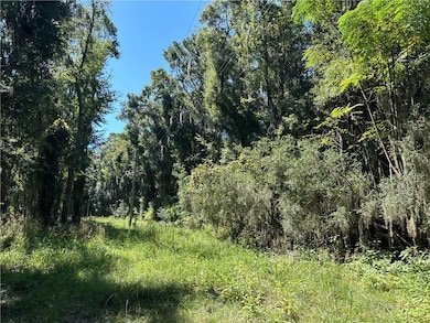 Lot 20 & 21 Riverside Dr, Darien, GA 31305 - photo 6