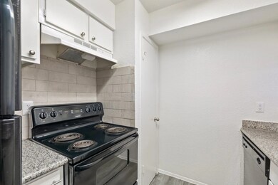 10101 Forum Park Dr unit 2047, Houston, TX 77036 - photo 3
