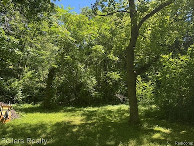 Wooded Back Yard